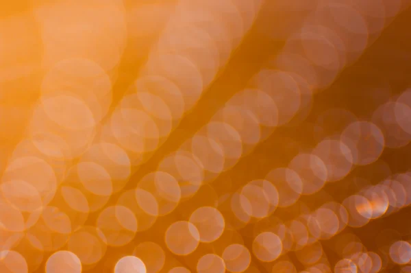 Çiy damlalı örümcek ağı.