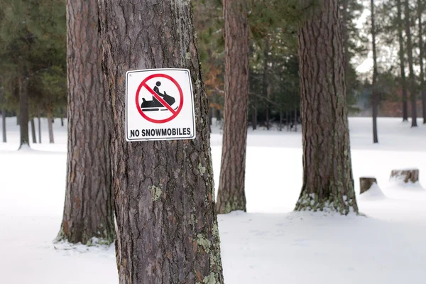 hiçbir Motorlu kızak