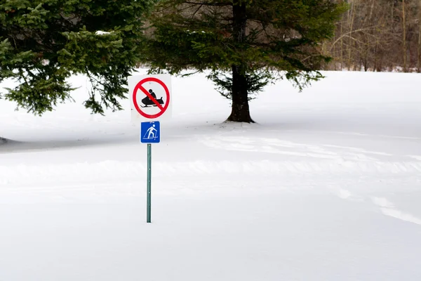 hiçbir Motorlu kızak