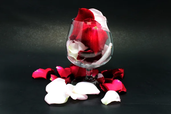 Rose och glas — Stockfoto