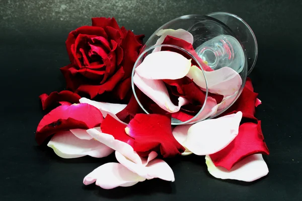 Róża i szkła — Zdjęcie stockowe