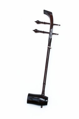 Tay yaylı çalgılar