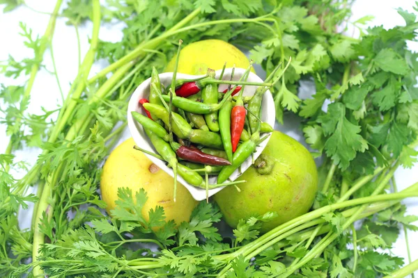 Vegetable — Stock Photo, Image