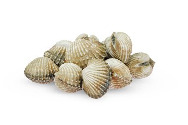 Taze midyeler, kabuklu deniz ürünleri beyaz arka planda izole edilmiş.