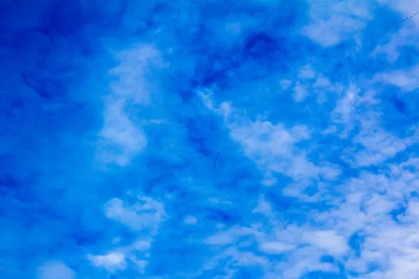 Ключи Перелетных Птиц Видны Голубом Небе — стоковое фото
