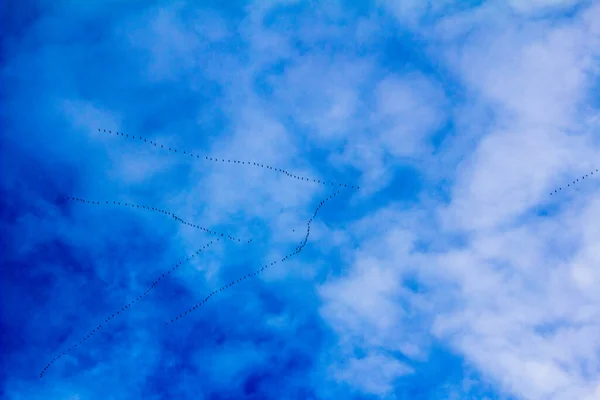 Göçmen Kuşların Anahtarları Mavi Gökyüzünde Görünür — Stok fotoğraf