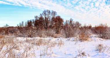 Pazar sabahı Ukrayna kırsalında