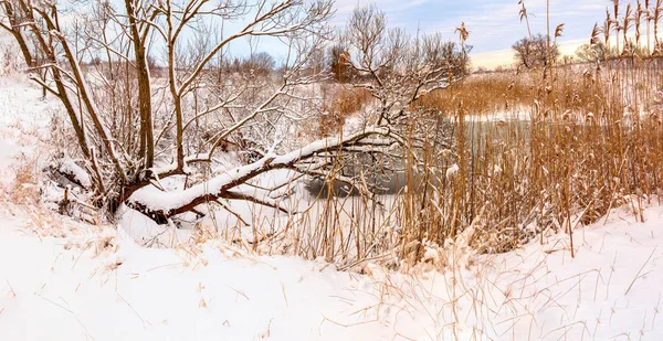 Sunday Winter Morning Countryside Ukraine — Stock Photo, Image