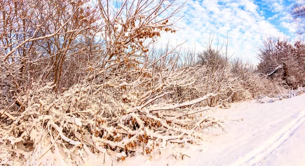 Dimanche Matin Hiver Dans Campagne Ukraine — Photo