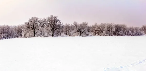 Vasárnap Téli Reggel Egy Faluban Vidéken Ukrajna — Stock Fotó