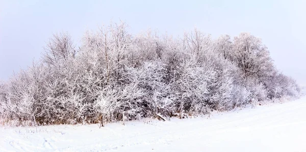 Sunday Winter Morning Village Countryside Ukraine — Stock Photo, Image