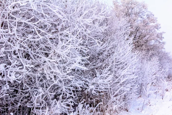 Domingo Mañana Invierno Pueblo Campo Ucrania — Foto de Stock