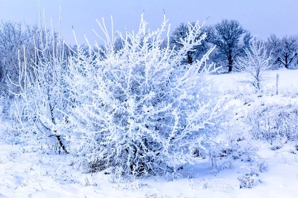 Zondagochtend Een Dorp Het Platteland Van Oekraïne — Stockfoto