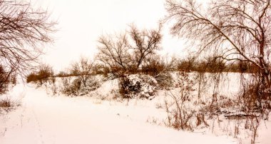 Bulutlu kış aralık günü Ukrayna