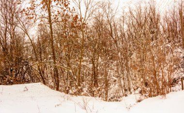 Bulutlu kış aralık günü Ukrayna