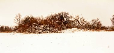 Bulutlu kış aralık günü Ukrayna