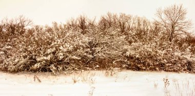Bulutlu kış aralık günü Ukrayna