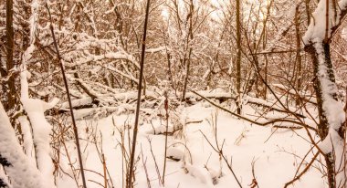 Bulutlu kış aralık günü Ukrayna