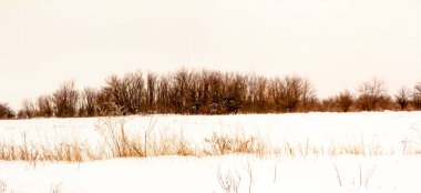 Bulutlu kış aralık günü Ukrayna