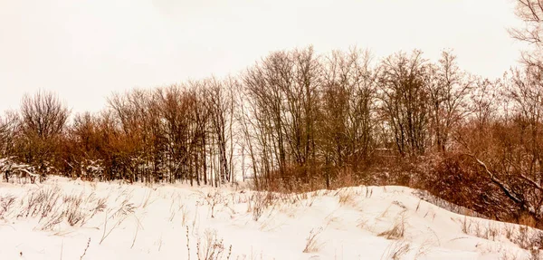 Cloudy Winter December Day Ukraine — Stock Photo, Image