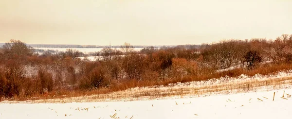 Cloudy Winter December Day Ukraine — Stock Photo, Image