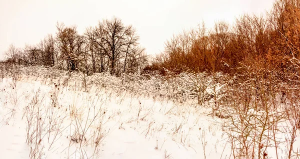 Cloudy Winter December Day Ukraine — Stock Photo, Image