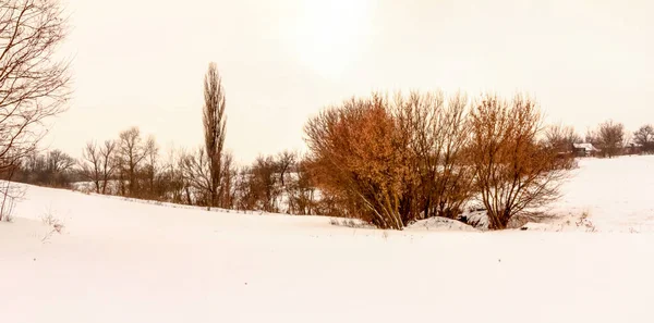 Cloudy Winter December Day Ukraine — Stock Photo, Image