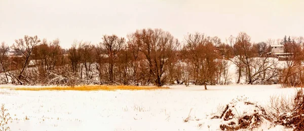 Nublado Invierno Diciembre Día Ucrania — Foto de Stock