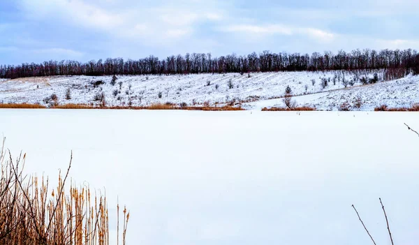 Ein Zugefrorener See Mit Weißem Schnee Bedeckt Bäume Wachsen Ufer — Stockfoto