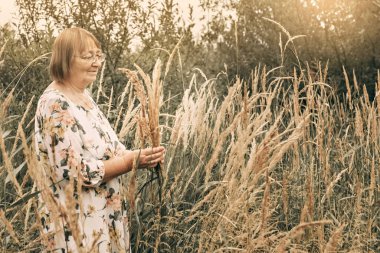 Dikenli uzun otların arasında yaşlı bir kadın. Sonbahar.