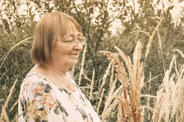 Une Femme Âgée Dans Herbe Haute Avec Des Épillets Automne — Photo