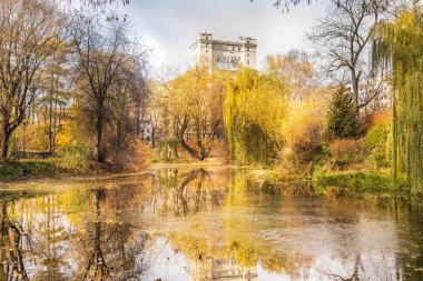 Göl manzaralı manzara ve sarı yapraklı ağaçlar, gölette yansıma. Bulanık doğal arka plan. Sonbahar.