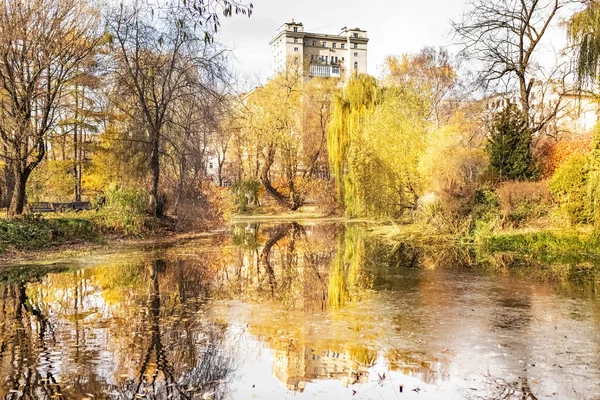Landschap Met Uitzicht Vijver Bomen Met Gele Bladeren Reflectie Vijver — Stockfoto