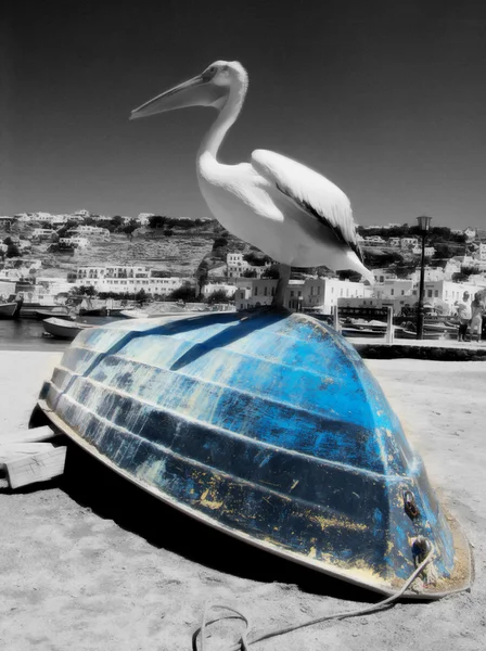 Pelican Bird sulla barca blu a Mykonos, Grecia — Foto Stock