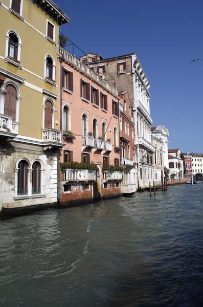Здания и дома на Гранд Канале в Венеции, Италия — стоковое фото