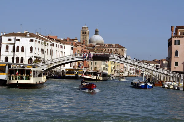 Rialto-steinbrücke in venedig — Stockfoto