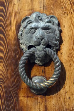 Altın Aslan Venedik ahşap kapı kapı kolu başı