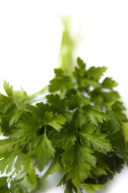 Beyaz arka plan üzerinde izole plaka üzerinde maydanoz