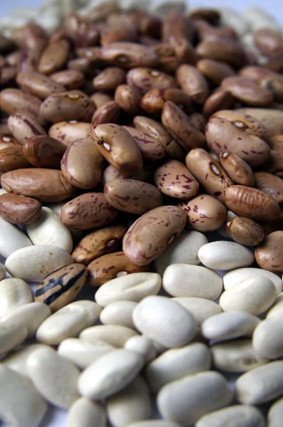 Brown and white Beans Isolated On The White Background — Stock Photo, Image