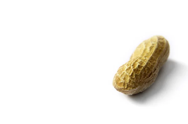 Peanut Isolated On The White Background — Stock Photo, Image