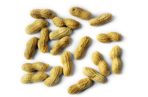 Cacahuètes isolées sur le fond blanc — Photo