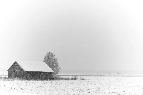 Känns nästan som vinter — Stockfoto