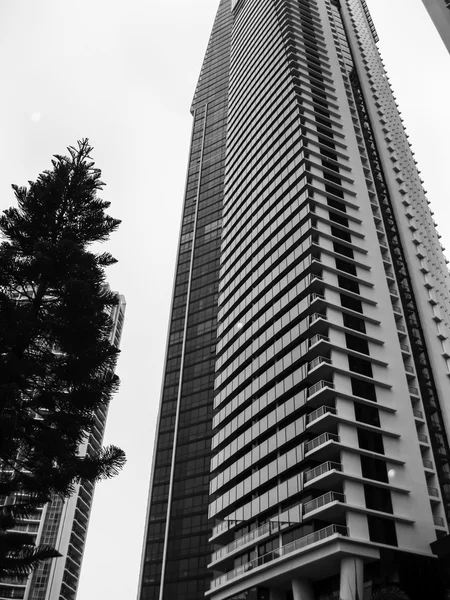 Un albero di pino e un'alta casa — Stok fotoğraf