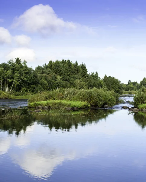 Reflections On A Summer Day — Stock Photo, Image