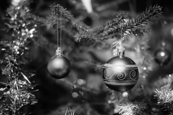 Two Christmas Baubles Hanging Christmas Tree Tree Real Spruce Brought — Stock fotografie