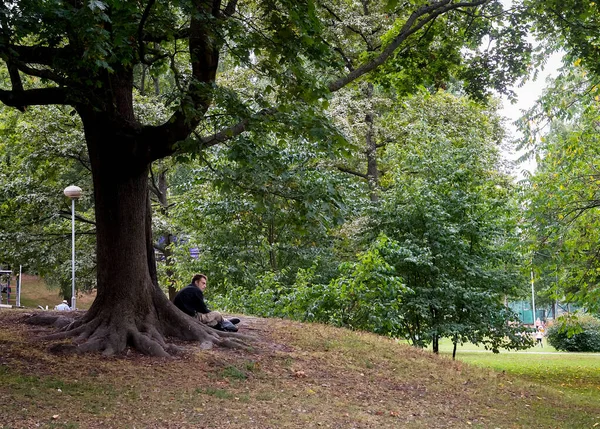 A man is sitting in the shade of a big tree in a park. The tree in quite a big one growing on a small hill.