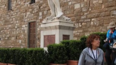 Michelangelo'nun David