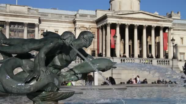 Fountain in Trafalgar square — Stock Video