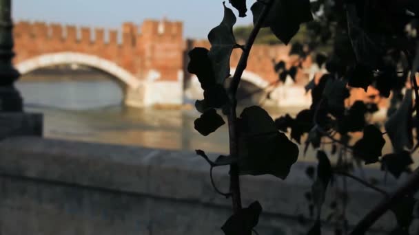 Castelvecchio Bridge — Stockvideo