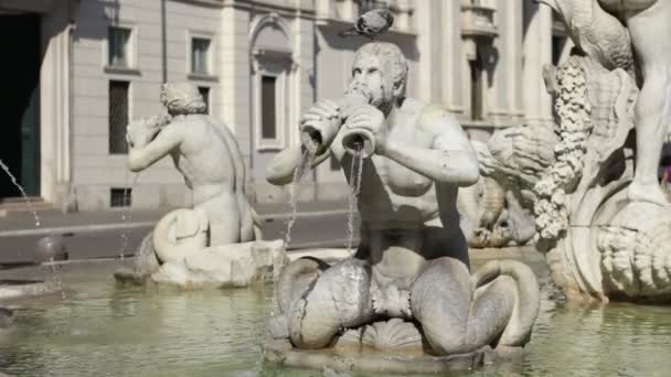 Fontana del Moro, Rome — Stockvideo